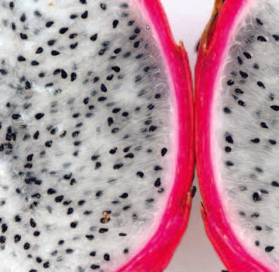 Gros plan sur un fruit du dragon coupé – fraîcheur exotique et aspect vibrant, source d’inspiration olfactive de Camélia K.