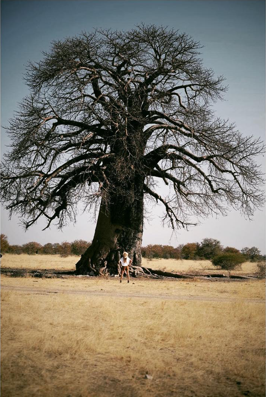 Sonia Constant devant un baobab majestueux – là où les racines profondes rencontrent les récits olfactifs.