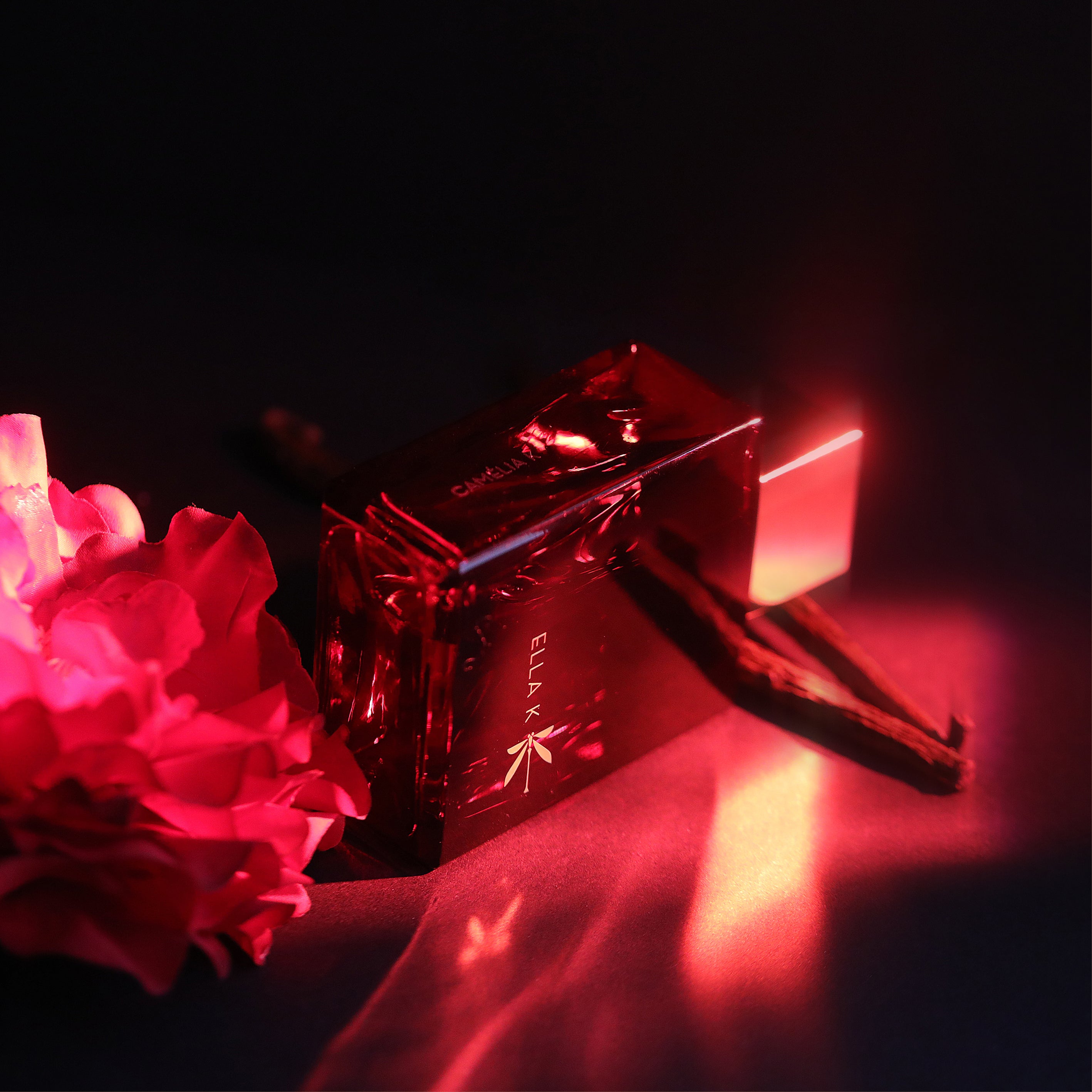 Flacon de parfum Camélia K en rouge rubis lumineux – une mise en scène poétique entre ombre et lumière.