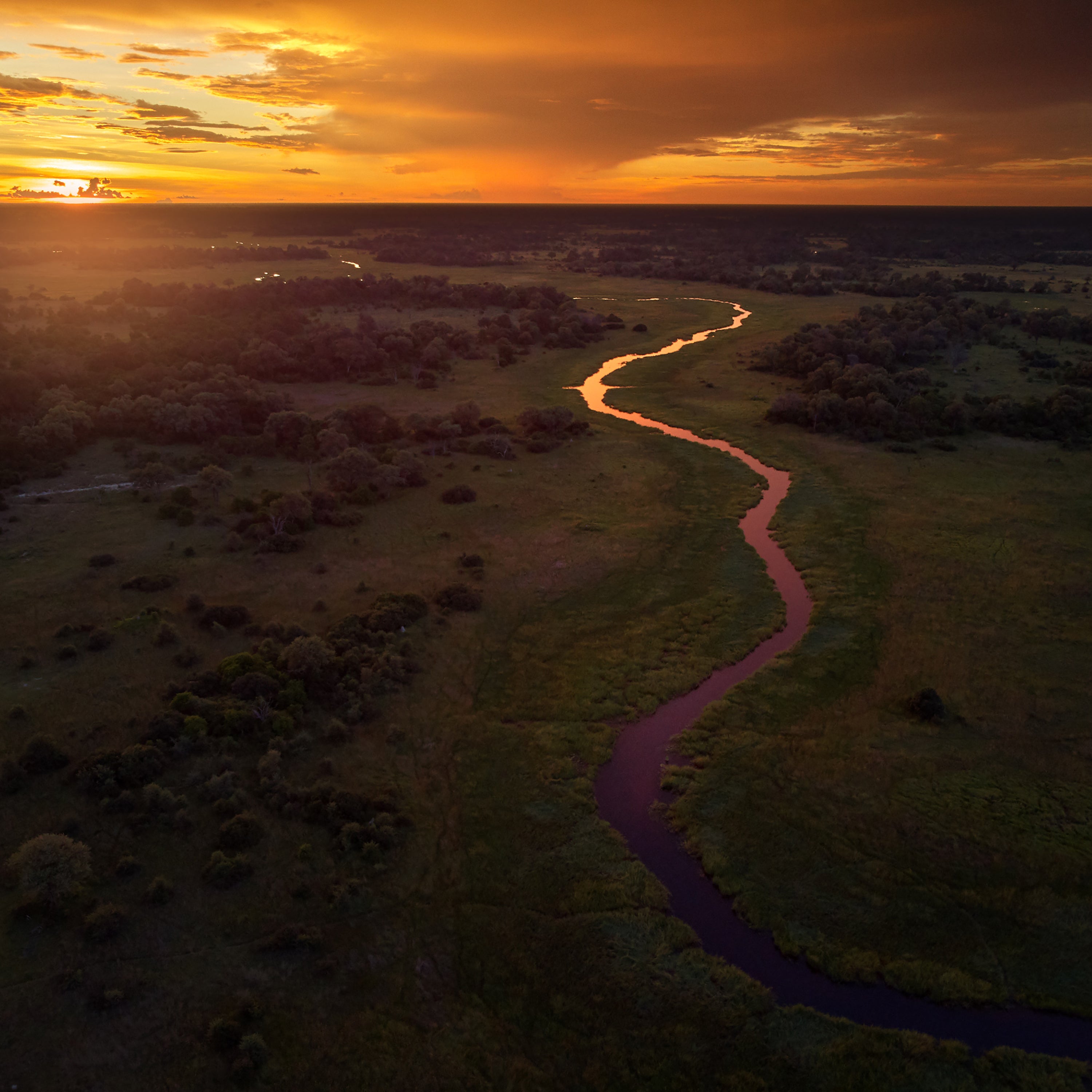 Vue aérienne du delta de l’Okavango au coucher du soleil doré, avec ses bras de rivière traversant la savane luxuriante – évoquant le parfum Reflet sur l’Okavango mêlant fleur d’acacia et papyrus.