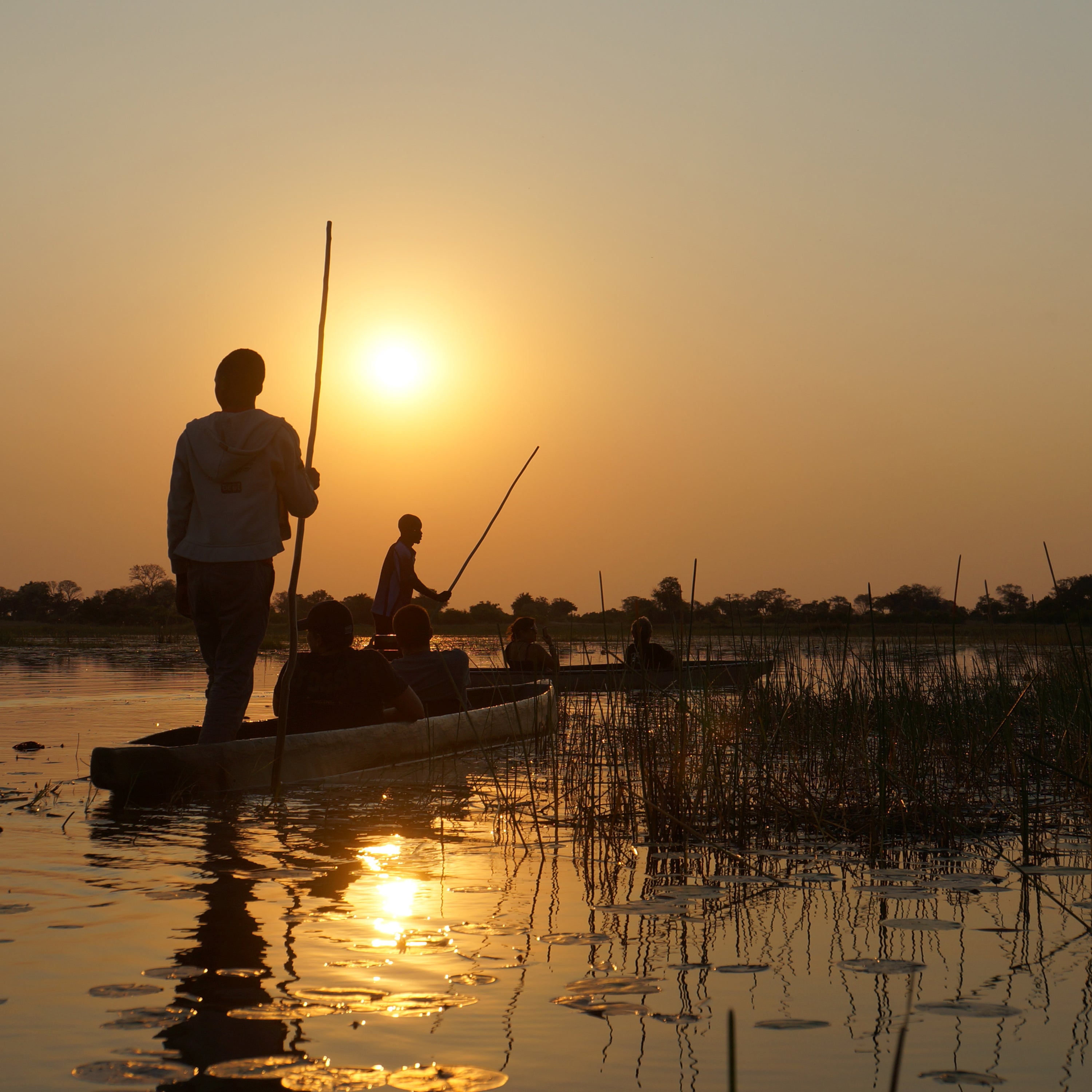 Silhouette d’un mokoro naviguant sur le canal de l’Okavango au couchant – image de paix et nature, à l’image de Reflet sur l’Okavango avec papyrus et notes vertes.