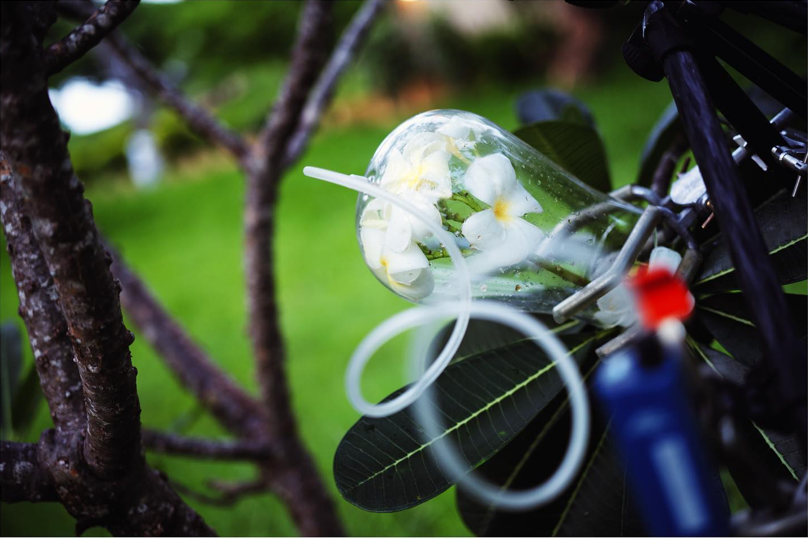 Extraction du parfum de fleurs fraîches de frangipanier avec la méthode Scent Trek – les essences florales sont capturées in situ, sans endommager la plante.