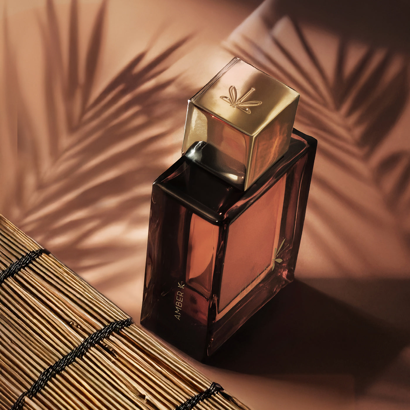 AMBER K – NOVEDAD