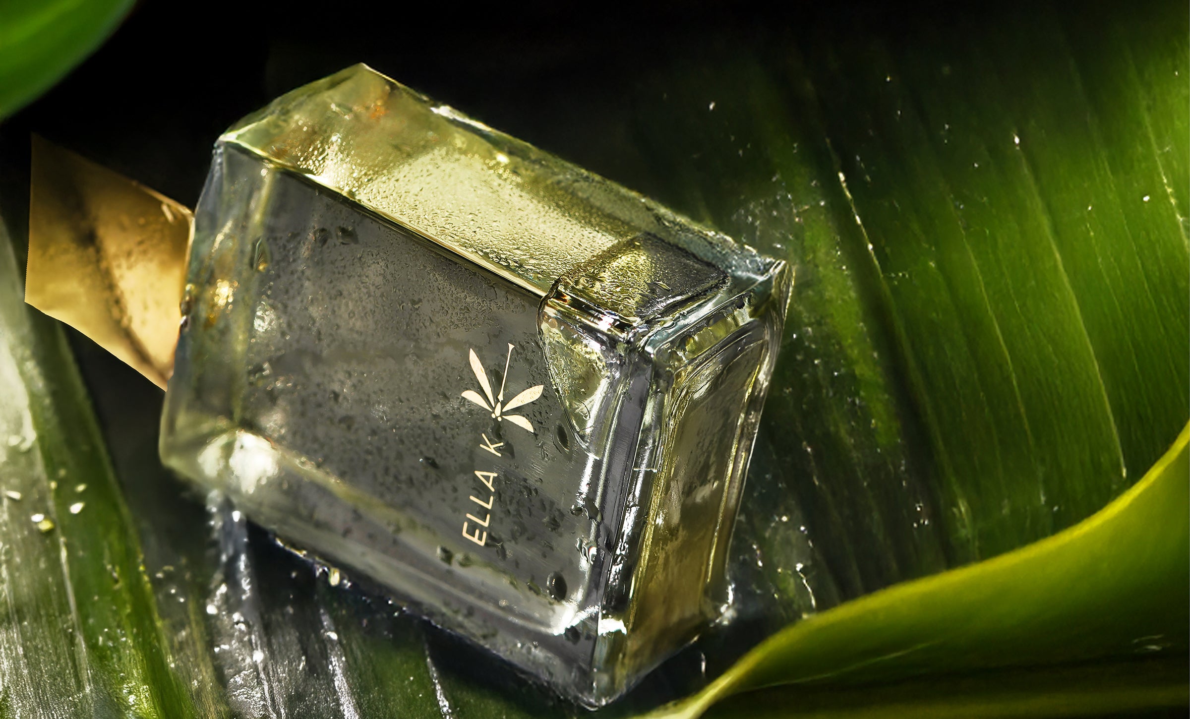 Flacon couché du parfum Pluie sur Ha Long sur une feuille tropicale – bouchon doré et surface humide évoquant une inspiration olfactive fraîche et sensuelle.
