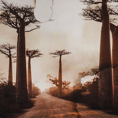 Vidéo d’une série d’images évocatrices – mêlant impressions de voyage, portraits émotionnels et flacons mis en scène issus de l’univers olfactif d’Ella K – inspirée par les expériences personnelles de Sonia Constant. Ce récit visuel capture l’atmosphère, l’origine et l’idée créative de sept parfums, rendant leurs univers sensuels et immersifs.