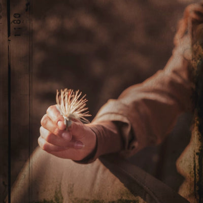 Vidéo d’une série d’images atmosphériques – avec des impressions de voyage, des portraits émotionnels et des flacons mis en scène de l’univers du parfum Reflet sur l’Okavango d’Ella K Parfums. Inspirée par les expériences personnelles de la parfumeuse Sonia Constant. Cette narration visuelle capture l’ambiance, l’origine et l’idée créative de Reflet sur l’Okavango et rend ce parfum signature intensément perceptible.